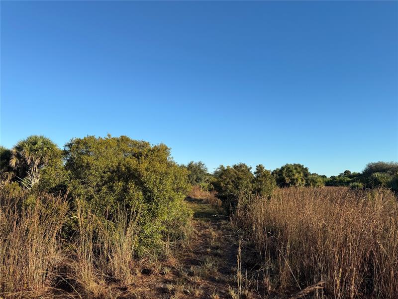 Image 10 of 10 For 2025 Cabbage Ln