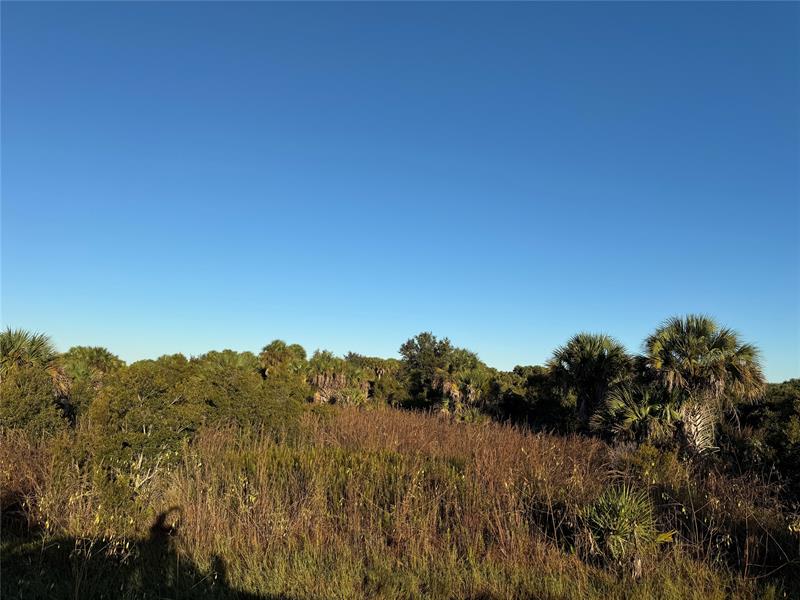 Image 3 of 10 For 2025 Cabbage Ln