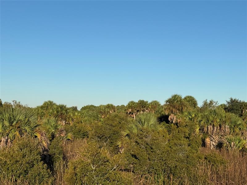 Image 5 of 10 For 2025 Cabbage Ln