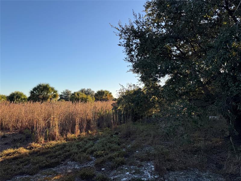 Image 9 of 10 For 2025 Cabbage Ln