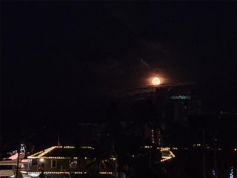 Image 18 of 27 For 1777 15th St  322