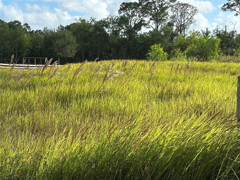 Image 3 of 8 For 10627 Lighter Wood Ln