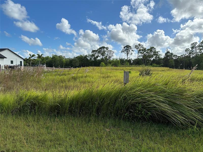 Image 8 of 8 For 10627 Lighter Wood Ln