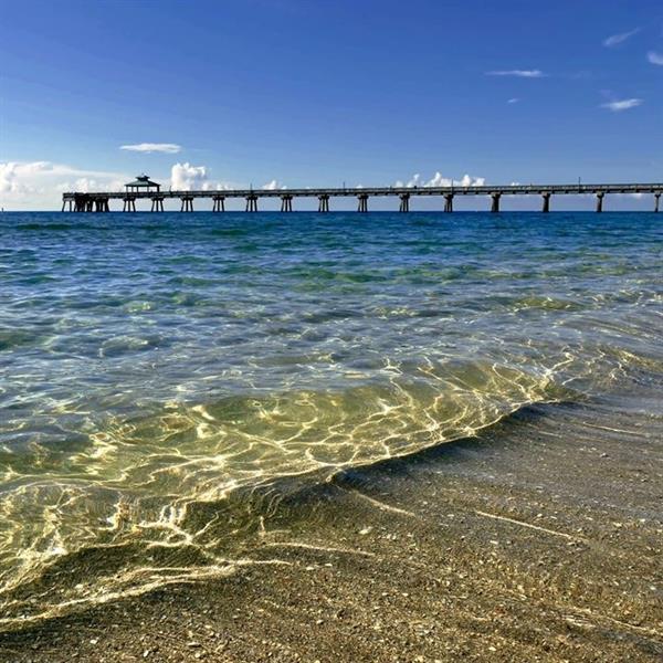 Image 21 of 22 For 69 Harwood H  69