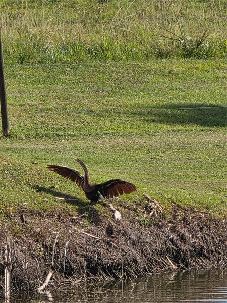 Image 36 of 38 For 5274 67th Ave