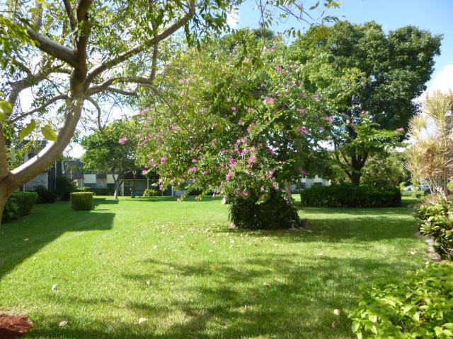 Image 18 of 21 For 3123 Oakland Shores Dr  D104