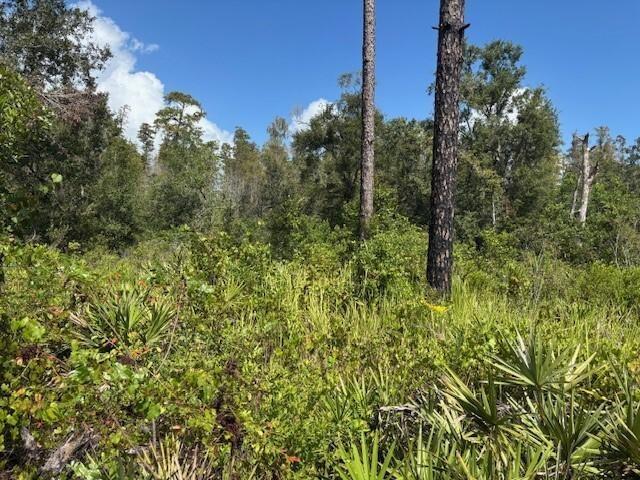 Details for 0 County Rd 54 E, Kathleen, FL 33849