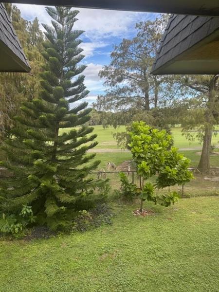 Image 11 of 13 For 7831 Colony Cir #203