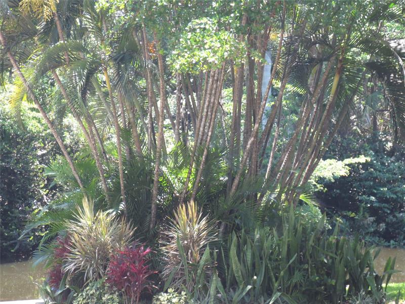 Image 17 of 18 For 102 Royal Park Dr  3f