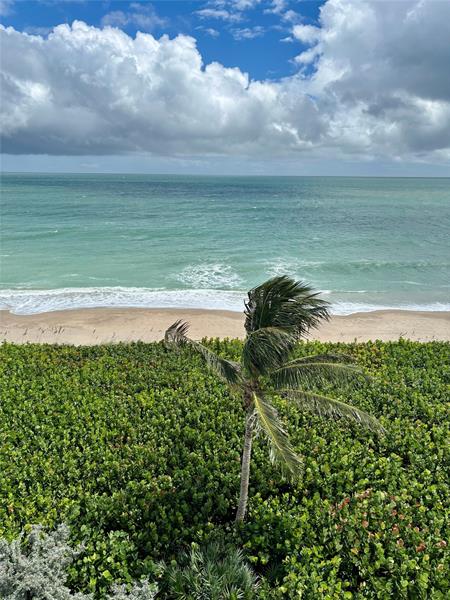 Image 2 of 27 For 9940 Ocean Dr  501