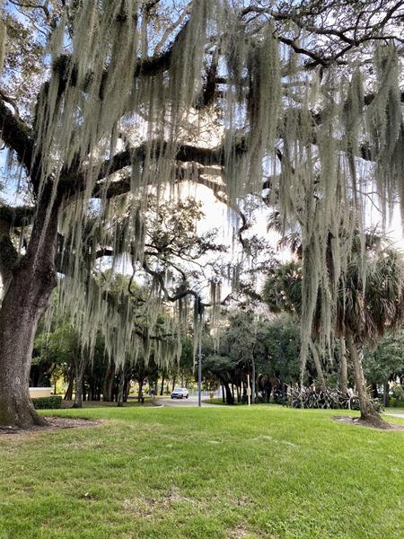 Image 14 of 15 For 2400 33rd St  1108