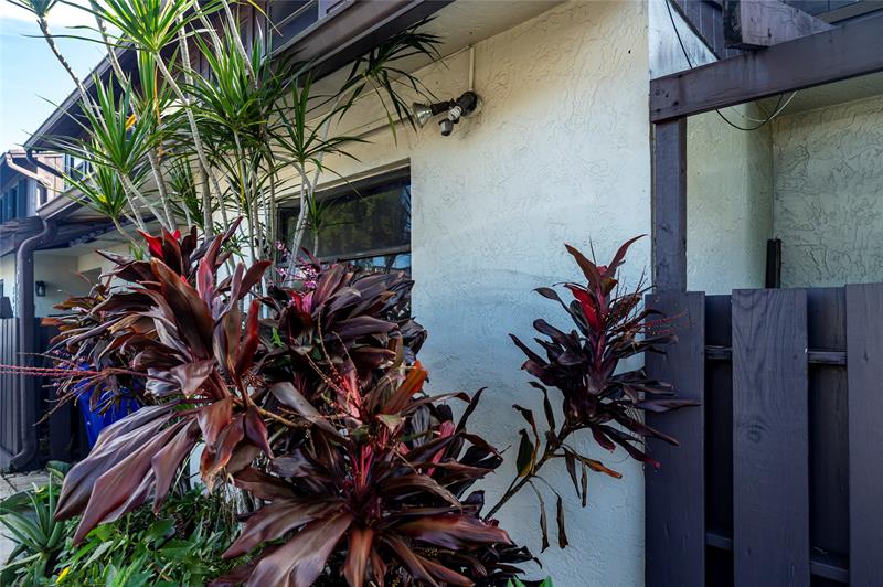 Image 27 of 28 For 3625 70th Ave 23-x