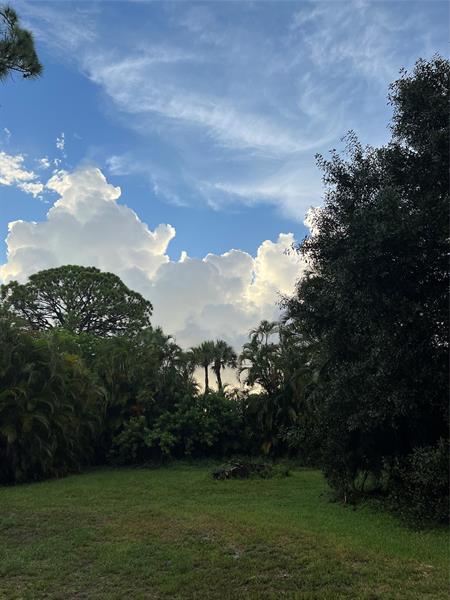 Image 4 of 11 For 4170 Manor Forest Blvd