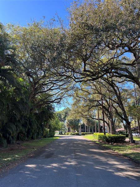 Image 9 of 11 For 4170 Manor Forest Blvd