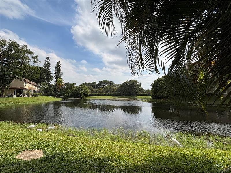 Image 5 of 31 For 1327 Hampton Blvd  1327