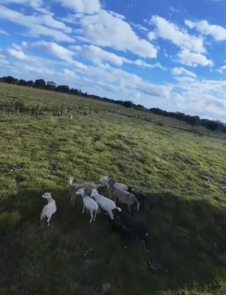 Image 10 of 10 For 0 240th  