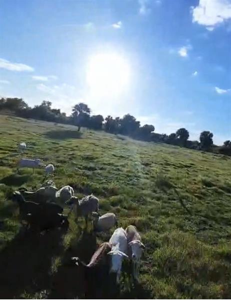 Image 9 of 10 For 0 240th  