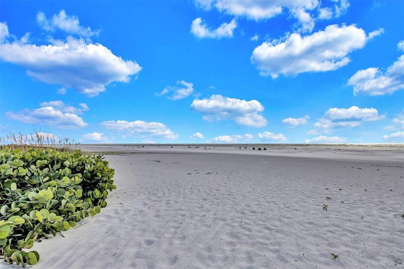 Image 39 of 48 For 7125 Gulf Of Mexico  22