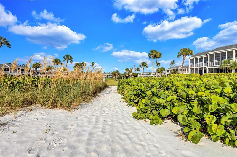 Image 40 of 48 For 7125 Gulf Of Mexico  22