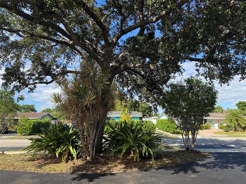 Image 13 of 46 For 3370 15th Ct