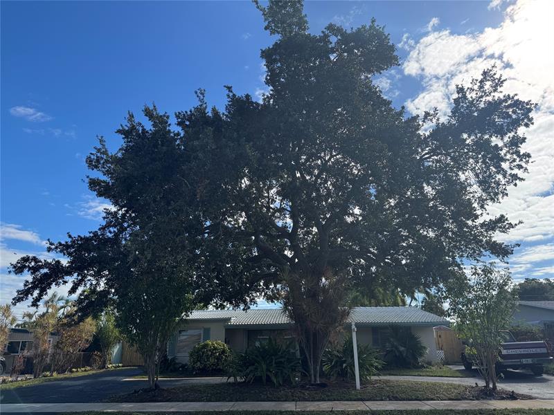 Image 17 of 46 For 3370 15th Ct