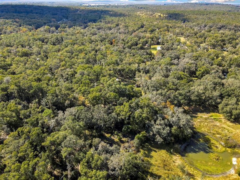 Image 54 of 57 For 26250 Blackjack St