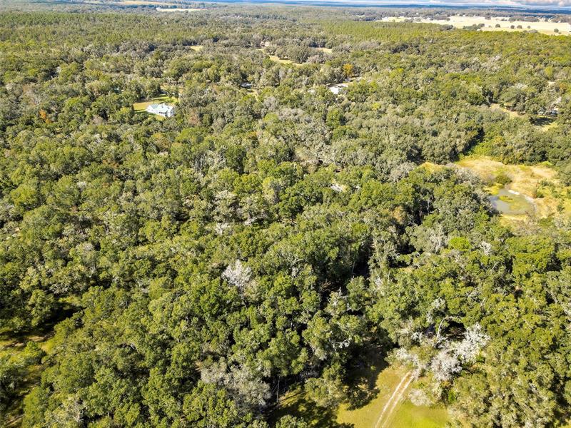 Image 55 of 57 For 26250 Blackjack St