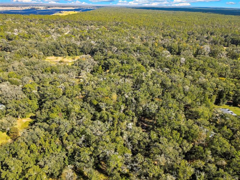 Image 57 of 57 For 26250 Blackjack St