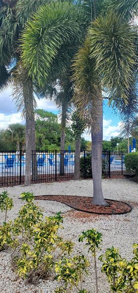 Image 4 of 20 For 1902 Bermuda Cir  H4