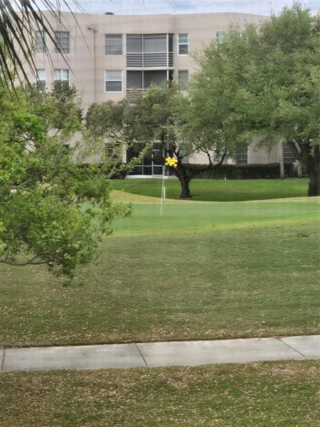 Image 19 of 93 For 9531 Seagrape Dr 205