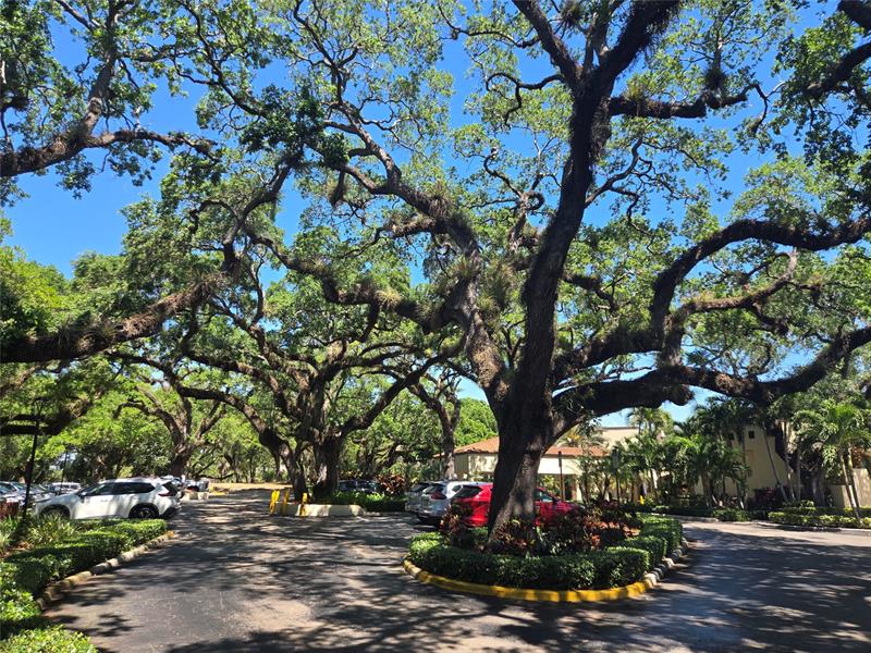 Image 46 of 93 For 9531 Seagrape Dr 205