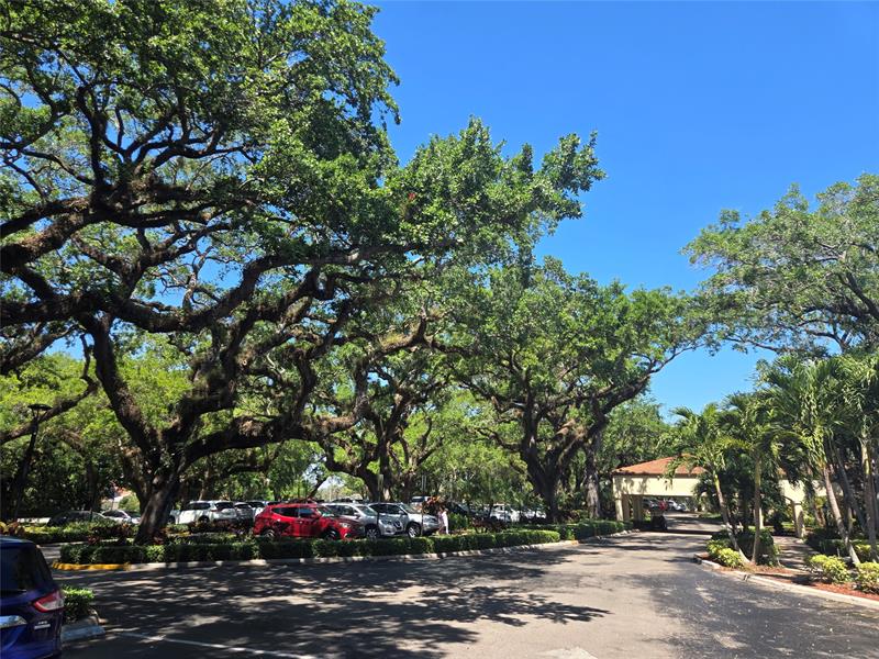 Image 49 of 93 For 9531 Seagrape Dr 205