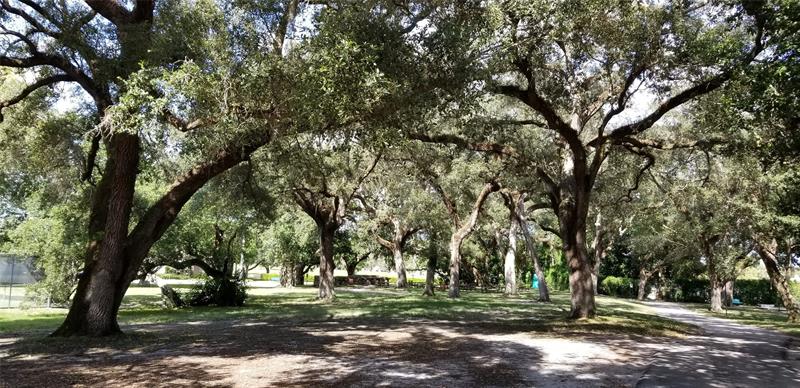 Image 64 of 93 For 9531 Seagrape Dr 205