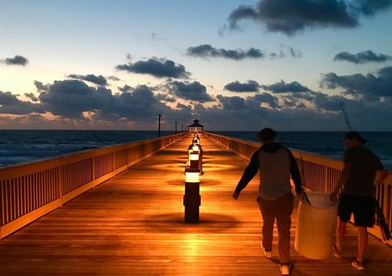 Image 36 of 36 For 367 Federal Hwy  C225