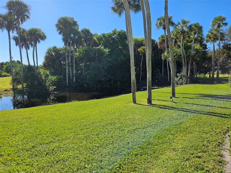 Image 33 of 50 For 9 Vista Gardens Trl  106