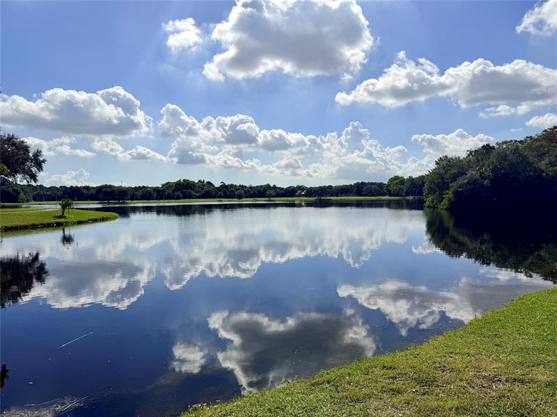 Image 15 of 19 For 2907 Carambola Cir S  201