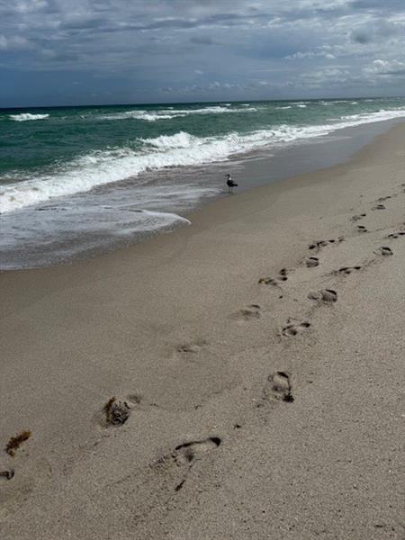 Image 5 of 31 For 3140 Ocean Dr  610