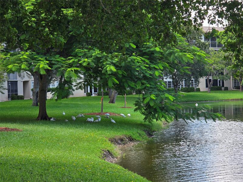 Image 21 of 41 For 2305 Lucaya Lane  B4