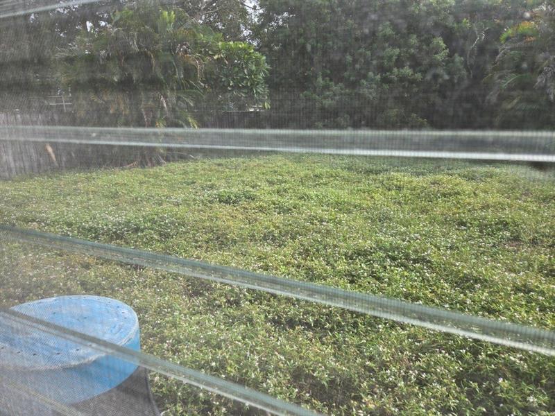 Image 20 of 24 For 2702 Hayes St