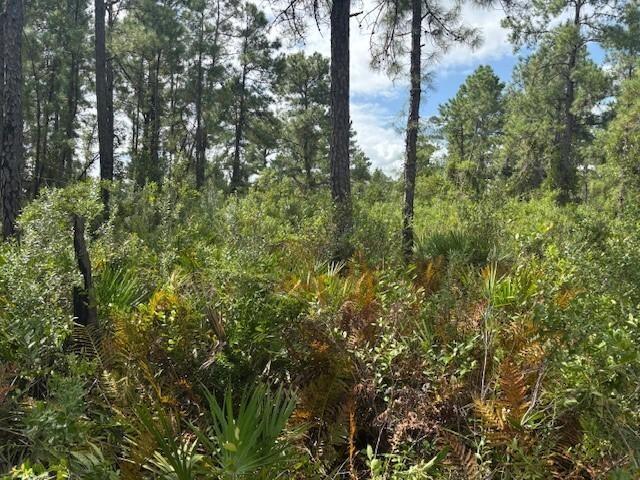 Details for 0 Hwy 630e  , Frostproof, FL 33843