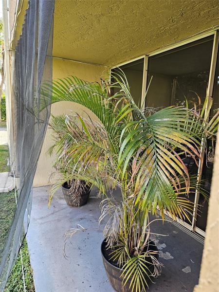 Image 19 of 21 For 8294 24th St 8294