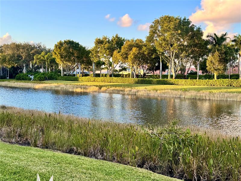 Image 26 of 31 For 8736 Bellido Cir