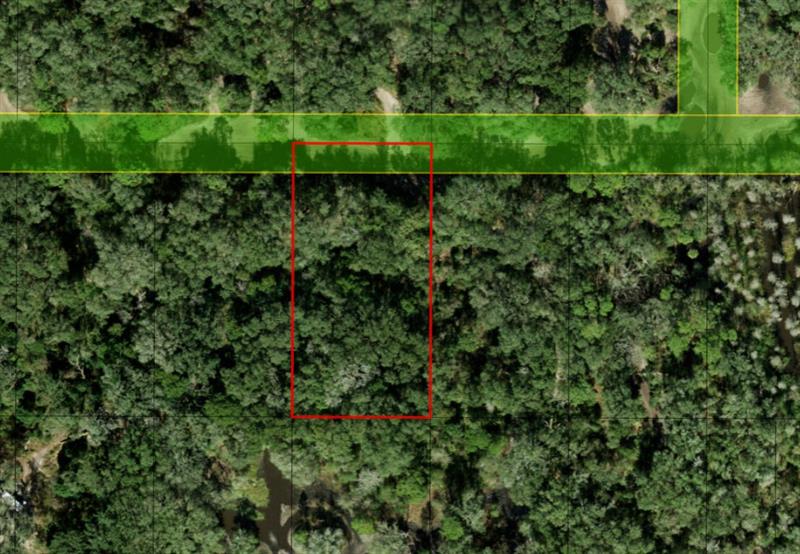 Listing Details for 0 County Rd 54 E, Kathleen, FL 33849