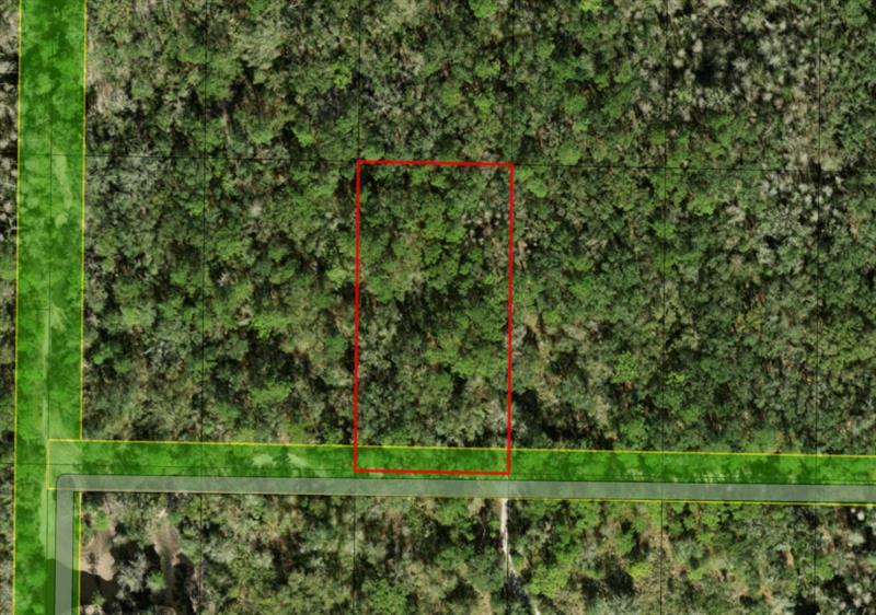 Listing Details for 0 County Rd 54 E, Kathleen, FL 33849