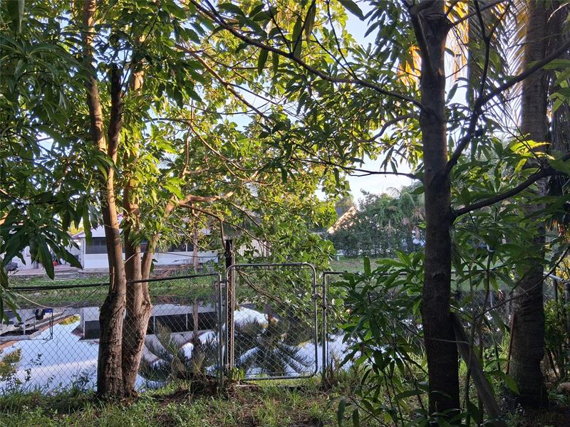 Image 36 of 36 For 1349 Seaview