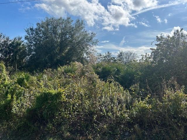 Image 3 of 4 For 14938 254th St