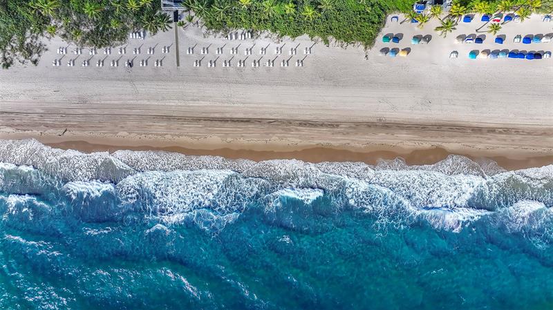 Image 58 of 62 For 3410 Galt Ocean Dr  702n