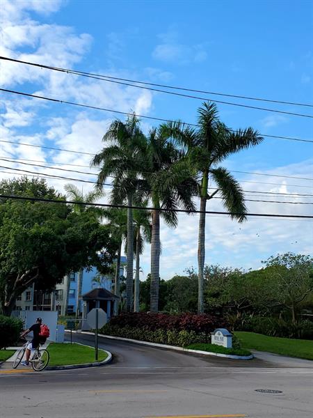 Image 28 of 33 For 120 Royal Park Dr  B4