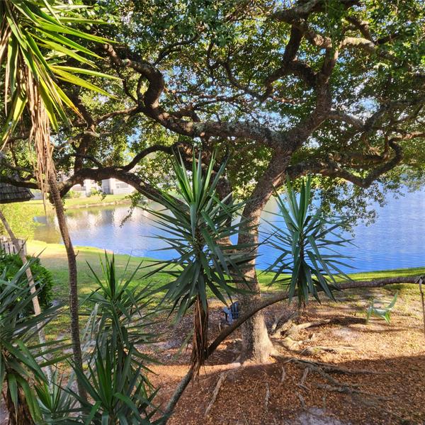 Details for 3634 95th Ter  3634, Sunrise, FL 33351