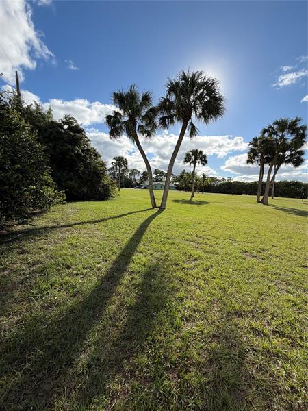 Image 11 of 19 For 4656 Lillian Ave